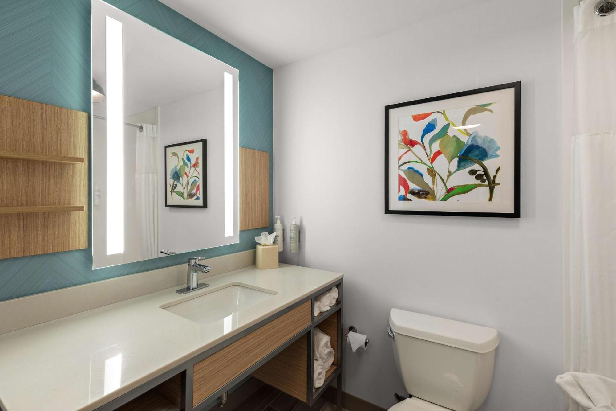 Hilton Garden Inn Atlanta East/Stonecrest Литония Екстериор снимка